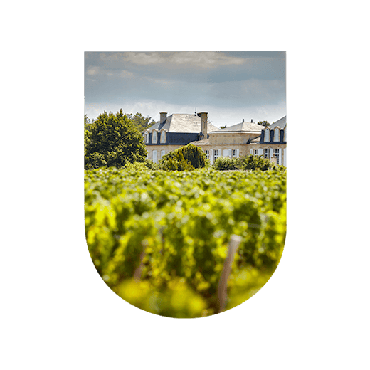 Château Langoa Barton